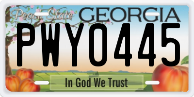 GA license plate PWY0445
