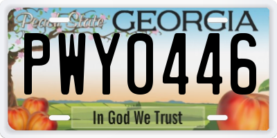 GA license plate PWY0446