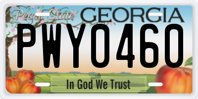 GA license plate PWY0460