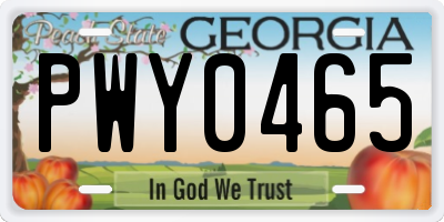 GA license plate PWY0465