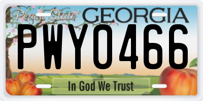 GA license plate PWY0466