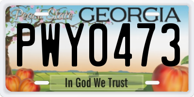 GA license plate PWY0473