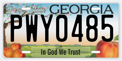 GA license plate PWY0485
