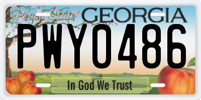 GA license plate PWY0486