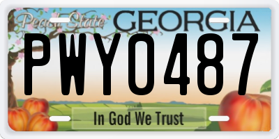 GA license plate PWY0487
