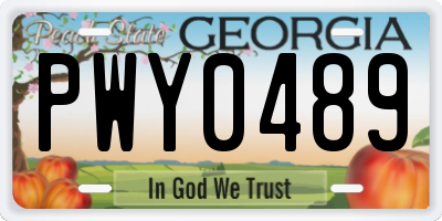 GA license plate PWY0489