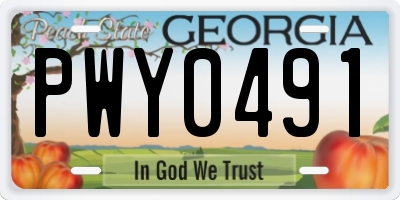 GA license plate PWY0491