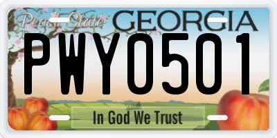 GA license plate PWY0501