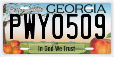 GA license plate PWY0509