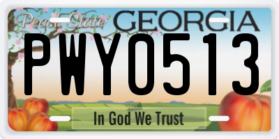 GA license plate PWY0513