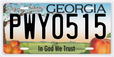 GA license plate PWY0515
