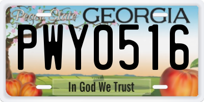 GA license plate PWY0516