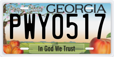 GA license plate PWY0517
