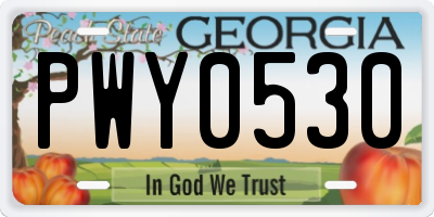 GA license plate PWY0530