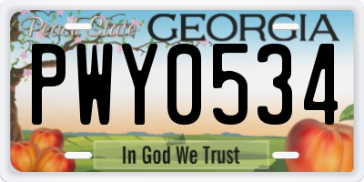 GA license plate PWY0534