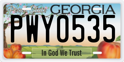 GA license plate PWY0535