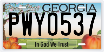GA license plate PWY0537