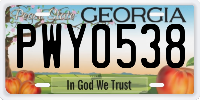 GA license plate PWY0538
