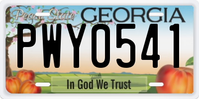 GA license plate PWY0541