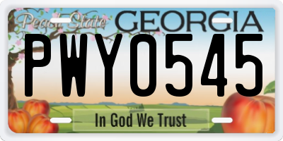 GA license plate PWY0545
