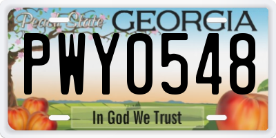 GA license plate PWY0548
