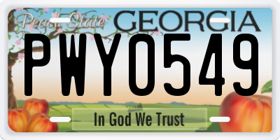 GA license plate PWY0549