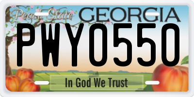 GA license plate PWY0550