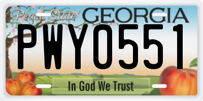GA license plate PWY0551