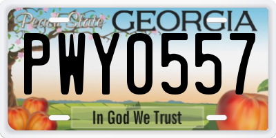 GA license plate PWY0557