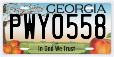 GA license plate PWY0558