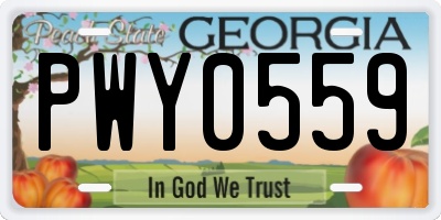 GA license plate PWY0559
