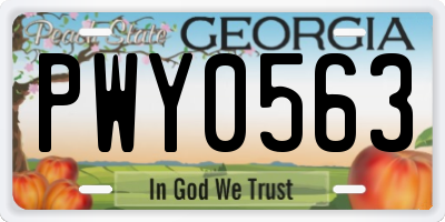 GA license plate PWY0563