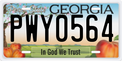 GA license plate PWY0564