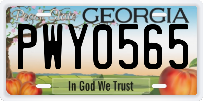 GA license plate PWY0565