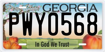 GA license plate PWY0568