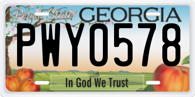 GA license plate PWY0578
