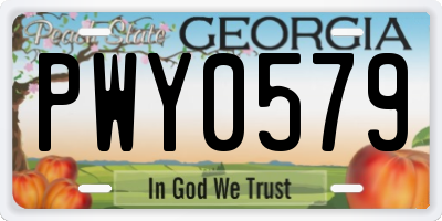 GA license plate PWY0579