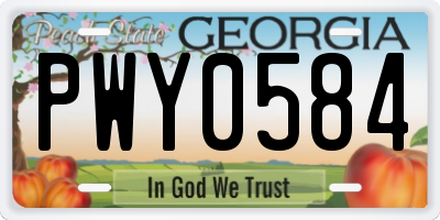 GA license plate PWY0584
