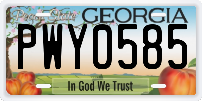 GA license plate PWY0585