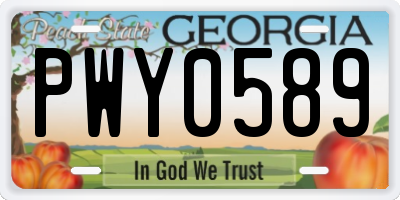 GA license plate PWY0589