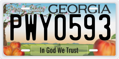 GA license plate PWY0593