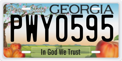 GA license plate PWY0595