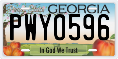 GA license plate PWY0596