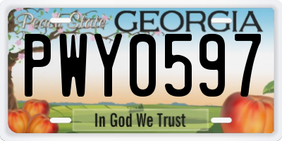 GA license plate PWY0597