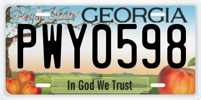 GA license plate PWY0598