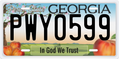 GA license plate PWY0599