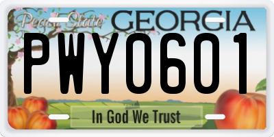 GA license plate PWY0601