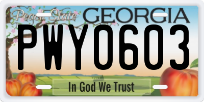 GA license plate PWY0603