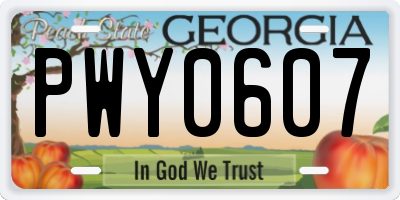 GA license plate PWY0607