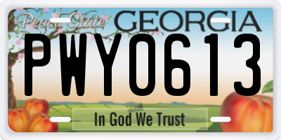 GA license plate PWY0613